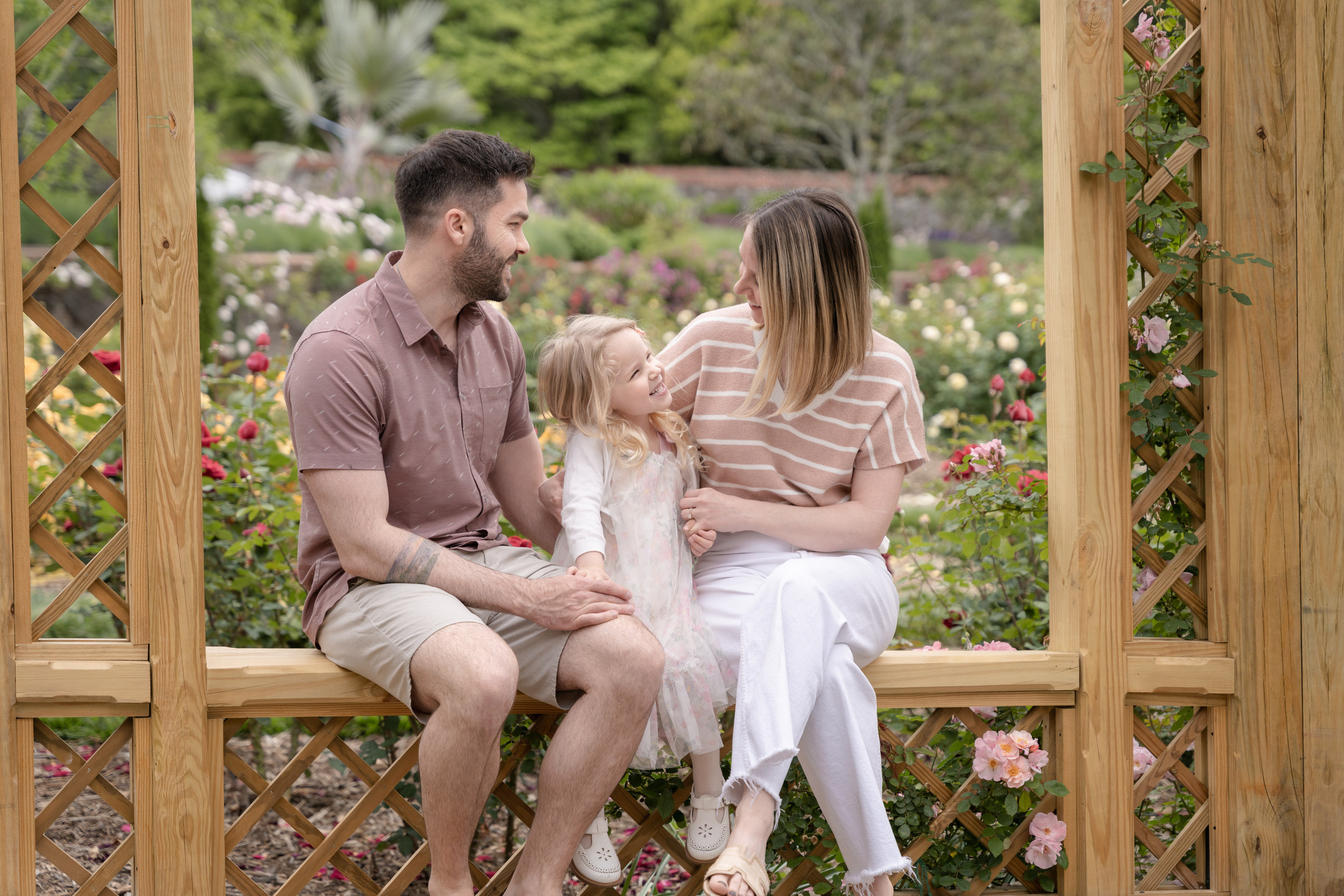 Family Story photograph 9