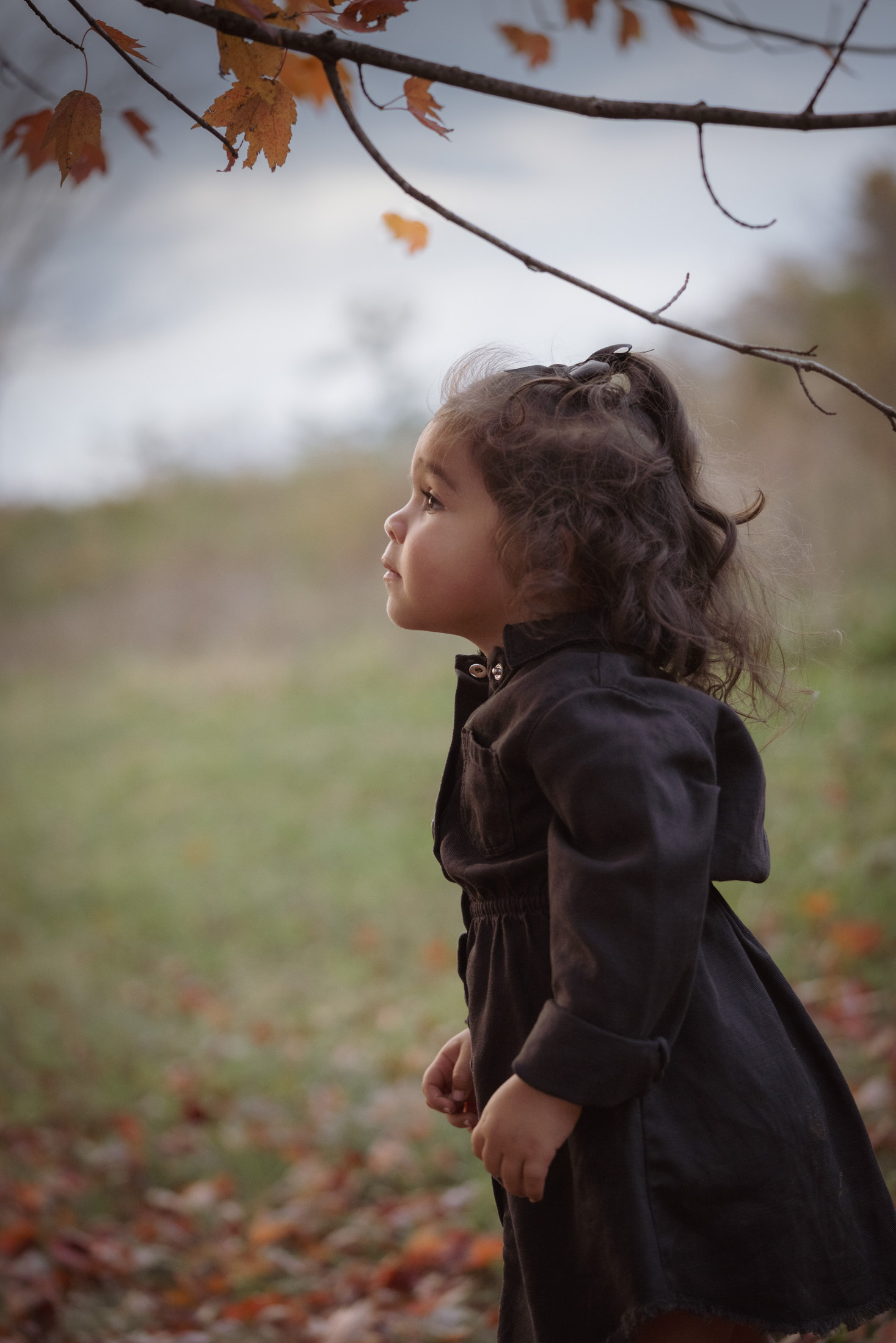 Family Story photograph 16