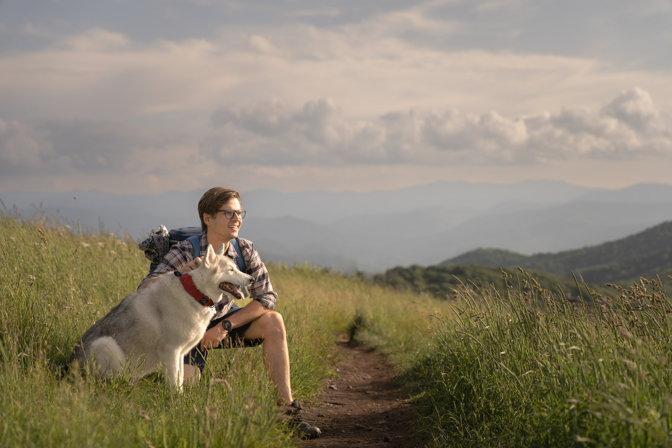 Pet Story photograph 4